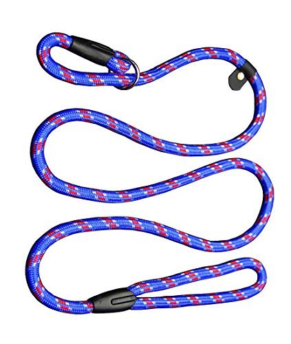 Coolrunner Pet Dog Whisperer Cesar Slip Training Leash Lead Collar (Blue)