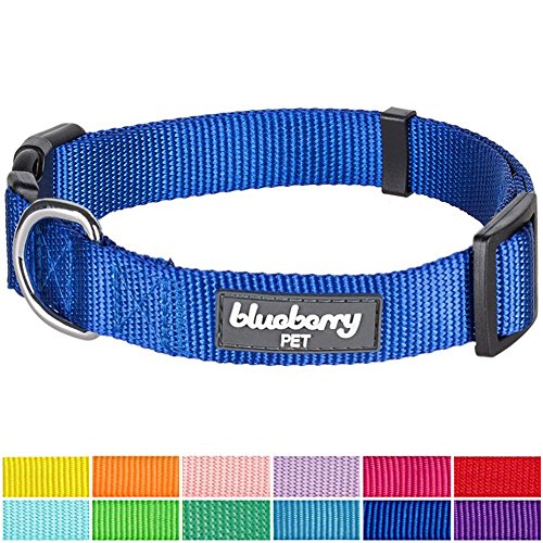 Blueberry Pet 12 Colors Classic Dog Collar, Royal Blue, Small, Neck 12