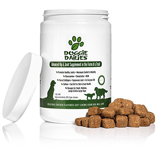 Advanced Hip & Joint Supplement for Dogs, 225 Soft Chews, All Natural Glucosamine Chondroitin for Dogs with MSM and CoQ10, Extra Strength Canine Joint Support, Made in the USA